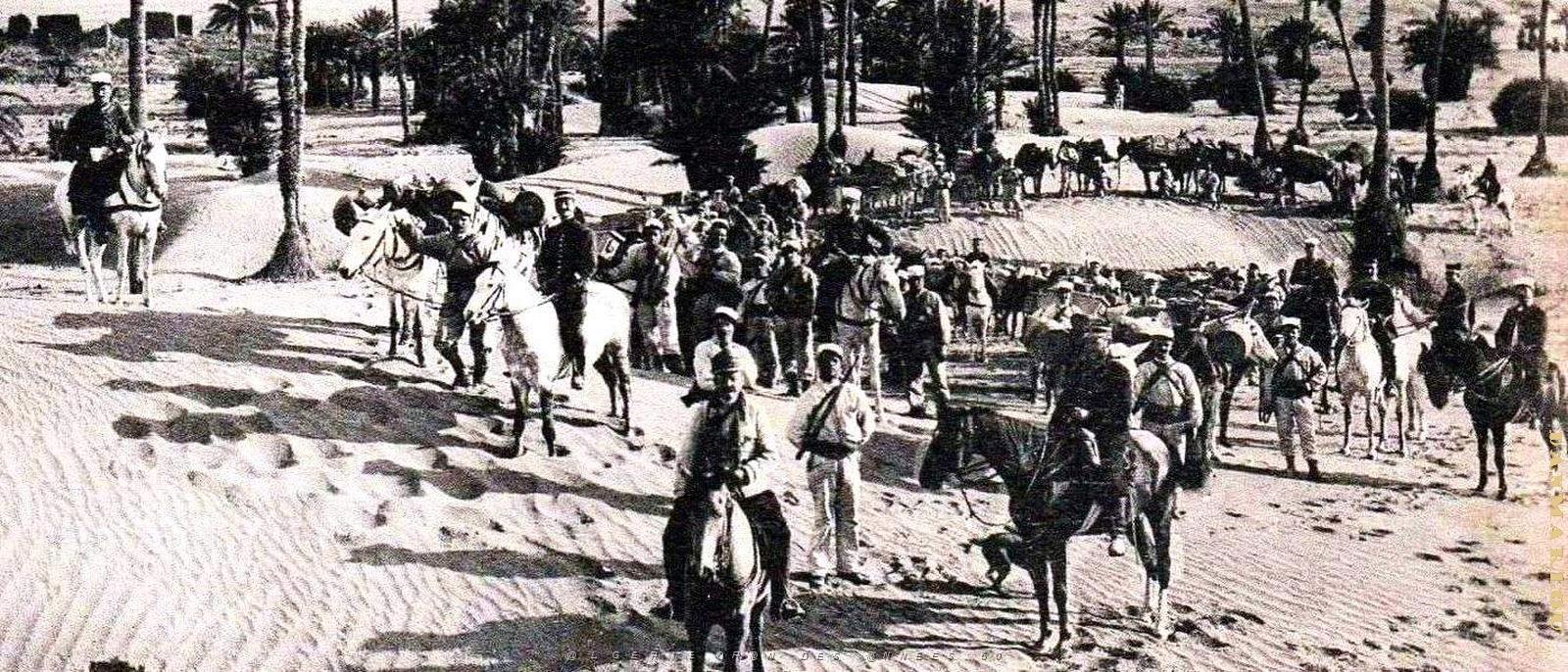 2493- Colomb-Bechar - Convoi de Mulets dans les Dunes2.jpg
